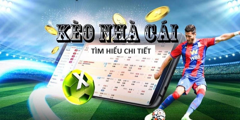 Keo Nha Cai AFF Cup - AFF Cup Betting Odds